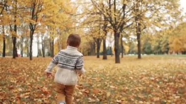 park yavaş mo inanılmaz sonbahar sokak boyunca düşmüş yaprakları üzerinde çalışan mutlu komik sevimli küçük çocuk