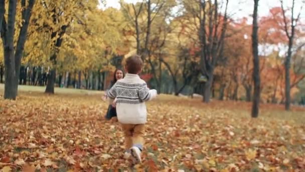 Schattige kleine jongen die door de verbazingwekkende herfst steeg in het park kwam in de armen van zijn mooie moeder slow mo — Stockvideo