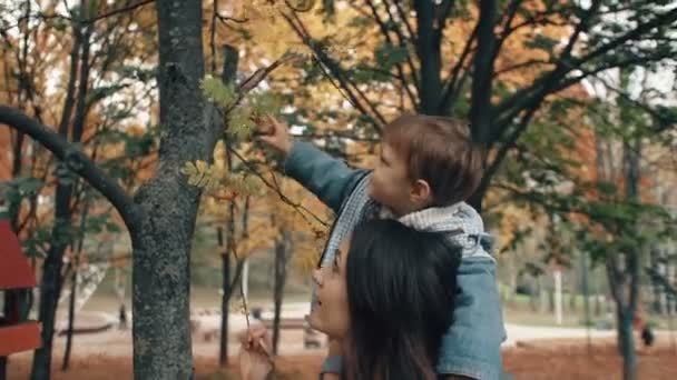 Hermosa joven madre sostiene en los hombros un lindo hijo pequeño, niño arranca bayas rojas de un árbol en el parque de otoño 4k — Vídeo de stock