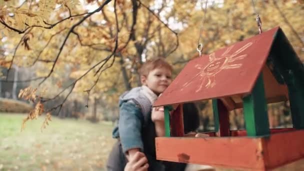 Joven madre sostiene sobre hombros lindo niño, pequeño niño abraza besos su cerca de aves alimentadores en increíble otoño parque 4k — Vídeos de Stock