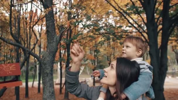 Bela jovem mãe segura nos ombros um filho pequeno bonito, menino arranca bagas vermelhas de uma árvore no parque de outono 4k — Vídeo de Stock