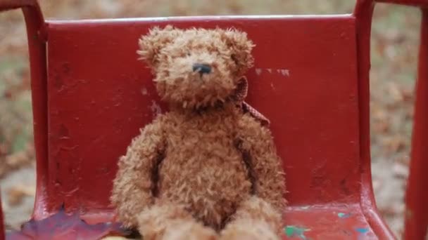 Brown teddy bear swinging on an old swing in the autumn park 4k — Stock Video