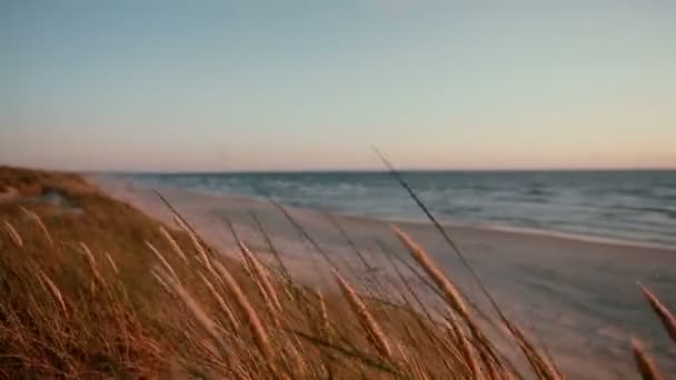 Sandstrand med ord och ett hjärta som skrivit om det och sanddyner täckta med gräs på en vacker kväll vid havet — Stockvideo