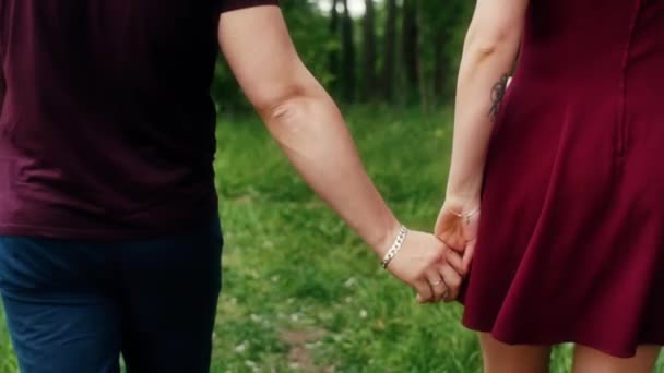 フォレストでは、手をつないで歩くカップルのステディカム スローモーション撮影。クローズ アップ — ストック動画