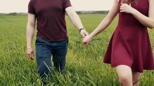 Young couple in love walking through long green grass. They are holding hands. Slow mo, steadicam shot — Stock Video