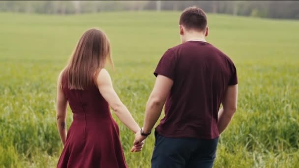 Joven hermosa pareja enamorada caminando en un campo verde, tomados de la mano. Lento mo — Vídeos de Stock