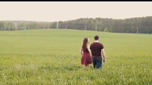 Una joven y hermosa pareja enamorada caminando felizmente a través de una larga hierba, cogida de la mano. Lento mo — Vídeo de stock