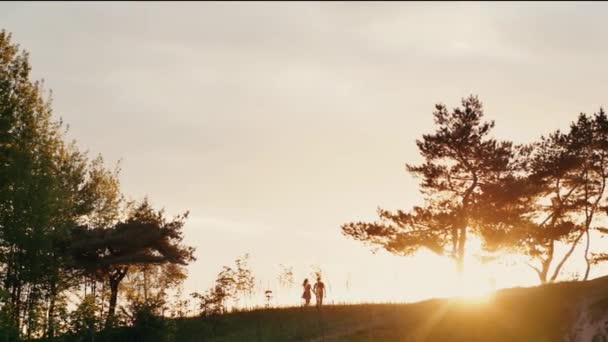 Пара прогулок по холму, держась за руки на прекрасном закате на природе. Солнечные лучи светят. Природный пейзаж, деревья. Медленно — стоковое видео