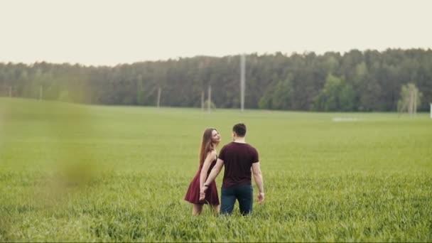Homem e mulher apaixonados. Um casal a caminhar num campo de aveia, a beijar-se, a abraçar-se. Mulher de vestido vermelho toca o rosto do homem. Devagar. — Vídeo de Stock