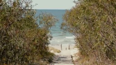 Ahşap ile döşeli bir yol yüksek bush için sahil götürüyor.