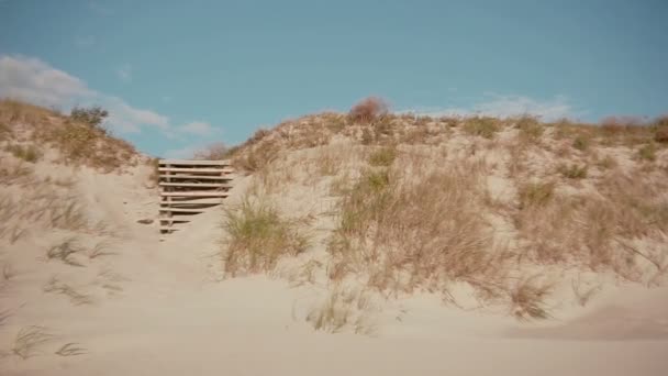 Una vista de dunas de arena blanca apenas cubiertas de hierba seca — Vídeo de stock