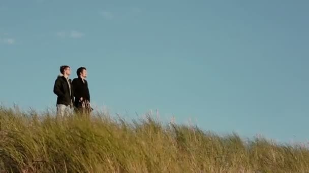 Двоє молодих хлопців стоять у високій траві у вітряний день, дивлячись в одному напрямку — стокове відео