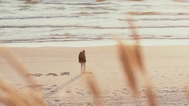Una vista lejana de un tipo que está escribiendo Julia en ruso con su pie en la arena de una hermosa playa — Vídeos de Stock