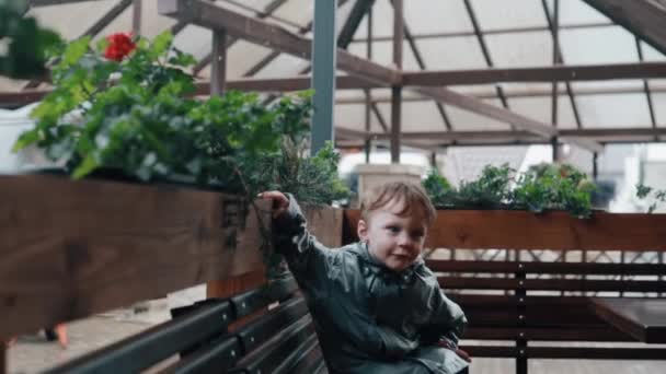 En söt liten pojke lutad mot ett staket med växter, sitter på en bänk. Regn faller. Långsamma mo — Stockvideo