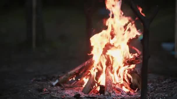 Pohled na hořící dřevo v noci. Otevřený krb. — Stock video