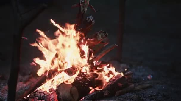 Schöne Aussicht auf brennendes Holz in der Nacht. offener Kamin. — Stockvideo