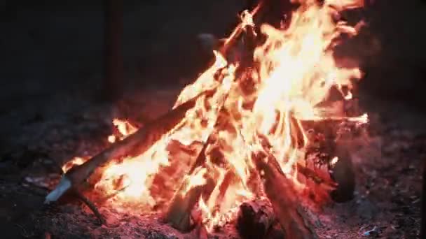 Prachtig uitzicht op het verbranden van hout in de nacht. Open haard. — Stockvideo