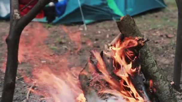 Schöne Aussicht auf das Verbrennen von Holz am Tag. offener Kamin. Zelt im Hintergrund. — Stockvideo