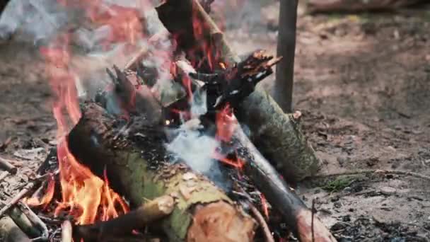 Caminetto aperto. Bella vista di bruciare legna durante il giorno. Il fumo ondeggia nel vento . — Video Stock