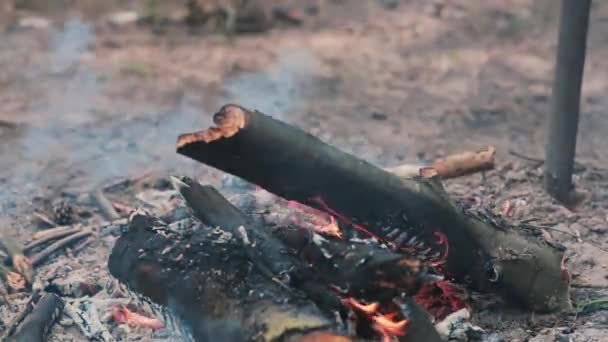 Prachtig uitzicht op het verbranden van hout overdag. Open haard. Rook slingerbewegingen in de wind. — Stockvideo