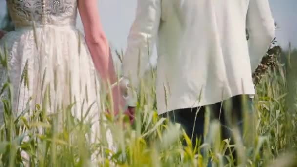 Achteraanzicht van een paar in de liefde, bruid en bruidegom lopen in een tarweveld, hand in hand op hun bruiloft. — Stockvideo