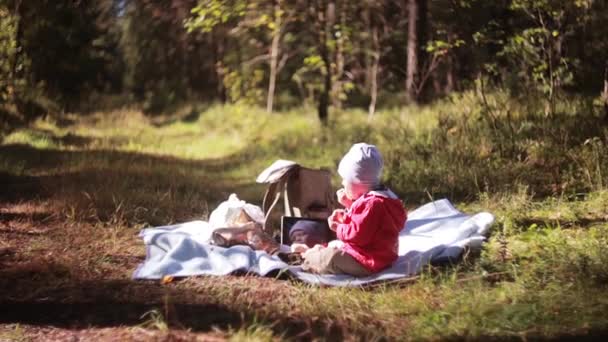 Niño lindo tienen picnic en el bosque en otoño, sentado en la hierba y comer al aire libre. Vista lateral . — Vídeos de Stock