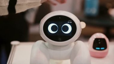 5 Kasım 2016 yılında Rusya, Moskova Robotik Expo. Domgy hayvan robotu sevinirler, kadın el, dokunmaya tepki okşadı. 4k