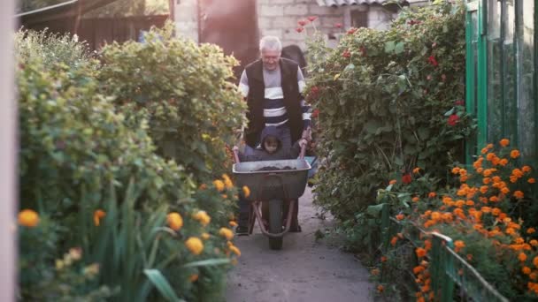祖父は庭でドライブ手押し車に孫を教えます。老人と少年は、花を通過します。4 k — ストック動画