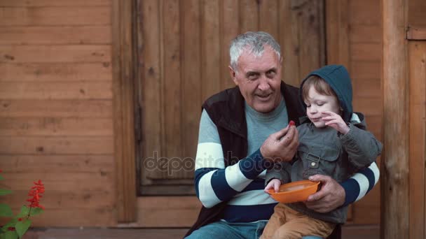 Little boy in the hood sitting on grandfather lap and eating berries from the orange bowl. Old man feeding grandson. 4K — Stock Video