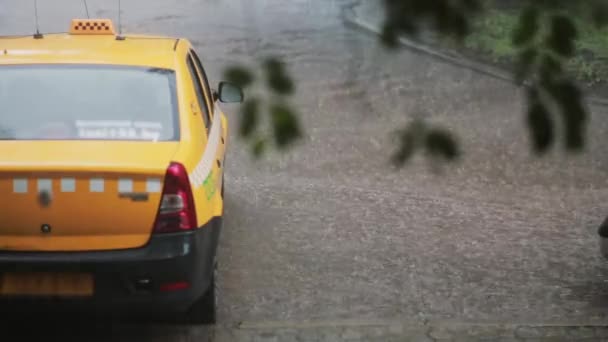Chuva derramando em um carro de táxi e pavimento. Ramos borrados de uma árvore oscilam no vento . — Vídeo de Stock
