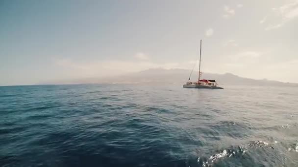 View to sea surface. Panorama of beautiful seascape with bottom in are far. Two dolphin swimming, jumping on horizon. — Stock Video