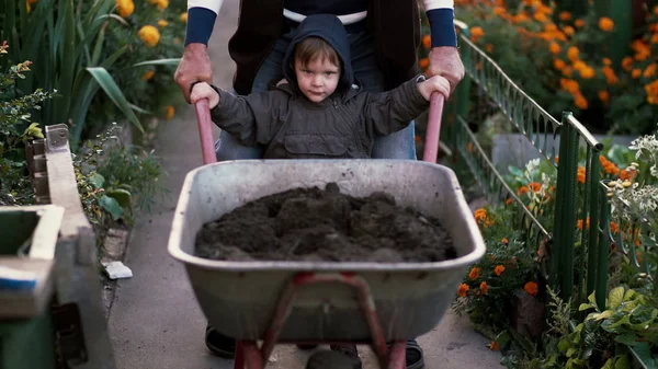 Дедушка с внуком, работающим в саду на тачке. Старик помогает маленькому мальчику на улице. 4K — стоковое фото