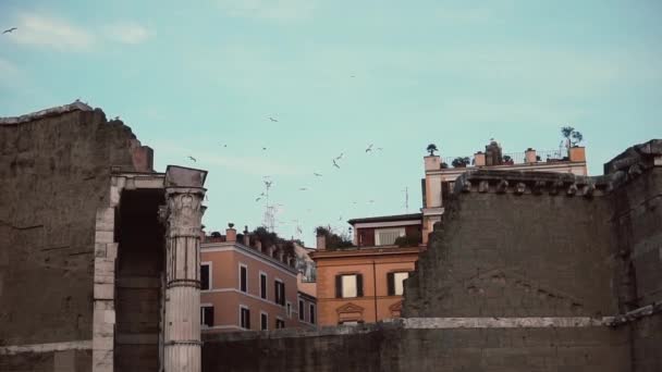 Blick auf die Ruinen der Altstadt und Vögel im Hintergrund. Historische Ausgrabungen. — Stockvideo