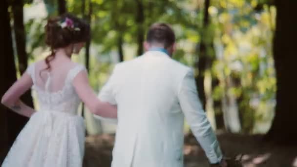 Coppia felice che cammina nel parco il giorno del matrimonio. Vista posteriore di bella sposa e sposo, tenendosi per mano. Steadicam shot — Video Stock