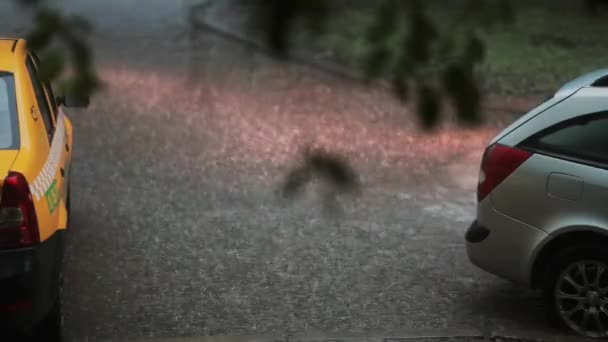 Inundación en el pavimento. Un coche que pasa, truenos y lluvia con sonido . — Vídeo de stock