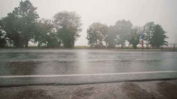 Een weergave van auto's voorbij op de weg in de regen, spatten rond. Bomen aan de andere kant. — Stockvideo