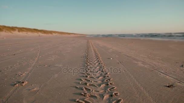 Une empreinte de trace de pneu sur une plage de sable fin le soir . — Video