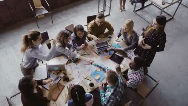 Blick von oben auf das Business-Team, das im trendigen Loft Office arbeitet. Junge gemischte Rassegruppe stellt Palme in den Mittelpunkt. — Stockvideo