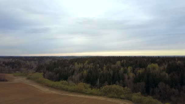 Панорамный сельский пейзаж. Воздушный беспилотник на сельскохозяйственное поле и зеленый смешанный лес . — стоковое видео