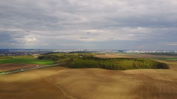 Vista aérea da bela paisagem no dia de verão. Drone voando sobre o prado e a floresta, paisagem urbana no fundo — Vídeo de Stock