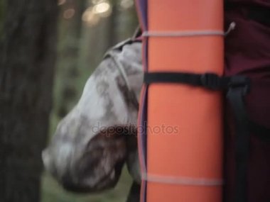Arkadan görünüşü yine de orman yürüyüş kamuflaj Üniformalı erkeklere forester. Erkek için kamp gezisi gidiş sırt çantası ile.
