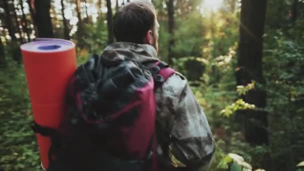 Visão traseira do homem silvicultor examina, olha em torno do parque. Homem de uniforme caminhando pela floresta, natureza de manhã — Vídeo de Stock