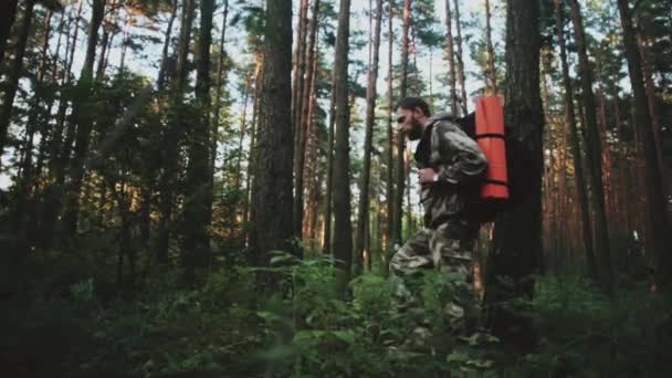 Молода матуся в комбінезоні з рюкзаком, що йде через ліс сам. Туристичний чоловік проводить дозвілля на природі . — стокове відео