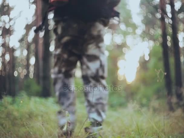 Vista posteriore dell'uomo con lo zaino che cammina attraverso la foresta verde al mattino. Mal turistico in unionalls camuffamento . — Video Stock