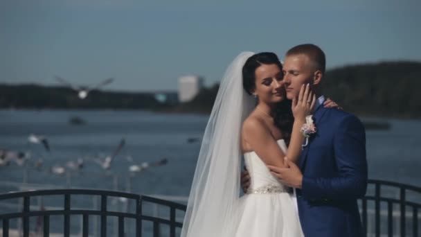 Joven hermosa pareja de pie en el muelle del río y abrazándose en el día de su boda. Recién casados pasando tiempo juntos . — Vídeos de Stock