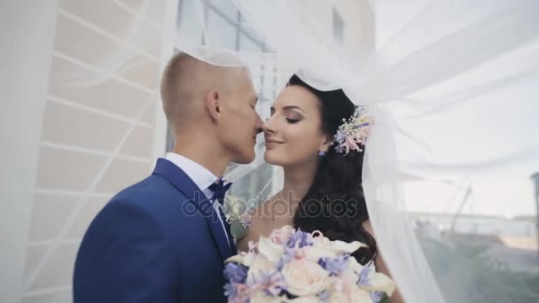 Braut und Bräutigam unter einem Brautschleier. Liebespaar haben eine zärtliche Zeit miteinander. Mann und Frau küssen sich am Hochzeitstag. — Stockvideo