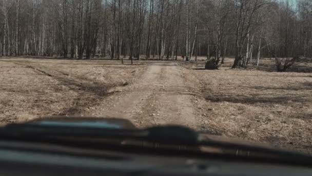 Visa inne i bilen på hösten landskapet i skogen. Drivrutinen rida bilen på landsbygden. — Stockvideo
