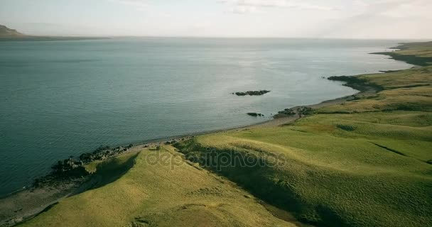 Летающий вокруг побережья моря вертолет в Исландии. Красивый пейзаж лавовых полей и воды . — стоковое видео