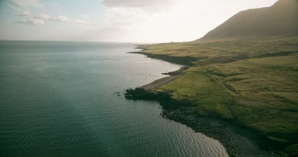 Flygfoto över stranden vid havet i soliga dag. Copter flyger över den gröna ängen i ljusa sommardag på Island. — Stockvideo