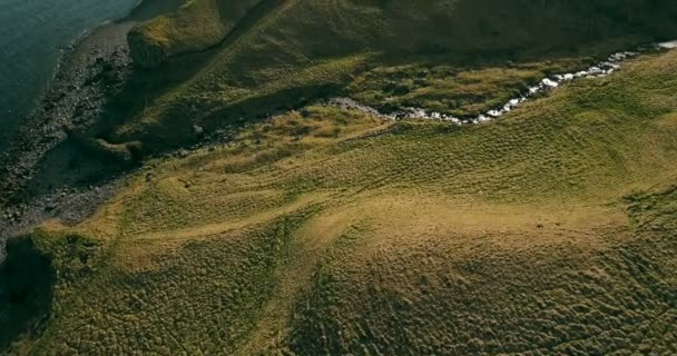 Vista aérea de las montañas salvajes río fluye en el valle. Copter volando sobre los campos verdes en Islandia . — Vídeo de stock